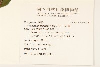 島田氏澤蘭藏品圖，第2張