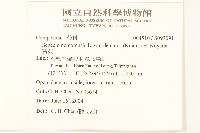 黃菀藏品圖，第2張