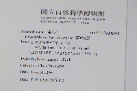 臺灣藤漆藏品圖，第2張