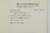 登錄號:S093126藏品圖，第2張