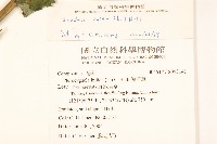 鬼苦苣菜藏品圖，第2張