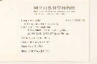 小米菊藏品圖，第2張