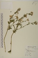 登錄號:S093147藏品圖，第1張