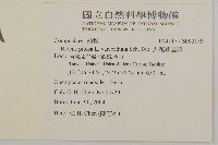 大花咸豐草藏品圖，第2張