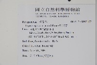 盾果草藏品圖，第2張