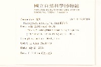 鵝仔草藏品圖，第2張