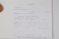 登錄號:S093219藏品圖，第2張