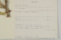 登錄號:S093225藏品圖，第2張