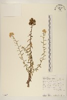登錄號:S093278藏品圖，第1張