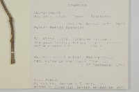 登錄號:S093364藏品圖，第1張