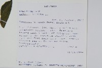 登錄號:S093369藏品圖，第2張