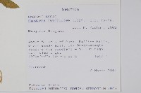 登錄號:S093375藏品圖，第2張