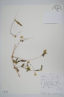 登錄號:S093384藏品圖，第1張