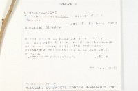 登錄號:S093390藏品圖，第2張