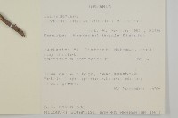 登錄號:S093414藏品圖，第2張