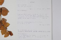 登錄號:S093426藏品圖，第2張