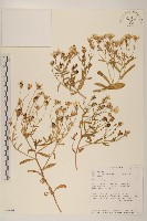 登錄號:S093444藏品圖，第1張