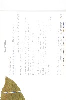 登錄號:S093482藏品圖，第2張
