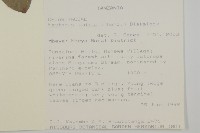 登錄號:S093529藏品圖，第2張