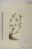 登錄號:S093557藏品圖，第1張