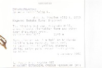 心葉蔦蘿藏品圖，第2張