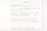 登錄號:S093608藏品圖，第2張