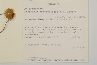 登錄號:S093617藏品圖，第2張