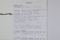登錄號:S093619藏品圖，第2張