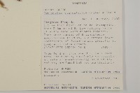 登錄號:S093661藏品圖，第2張