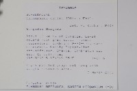 登錄號:S093666藏品圖，第2張