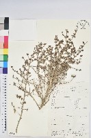 登錄號:S093714藏品圖，第1張