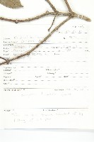 登錄號:S093715藏品圖，第2張