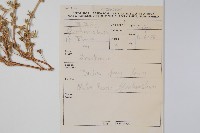 登錄號:S093718藏品圖，第2張