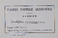 登錄號:S093729藏品圖，第2張