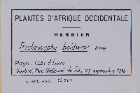 登錄號:S093734藏品圖，第2張