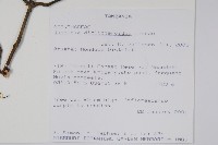 登錄號:S093766藏品圖，第2張