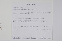 登錄號:S093769藏品圖，第2張