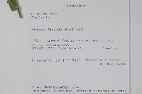 登錄號:S093790藏品圖，第2張
