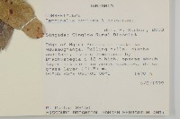 登錄號:S093811藏品圖，第2張