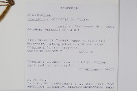 登錄號:S093821藏品圖，第2張