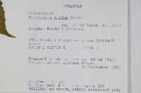 登錄號:S093835藏品圖，第2張