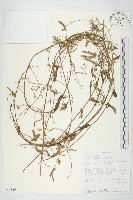 登錄號:S093836藏品圖，第1張