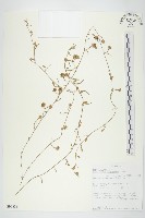登錄號:S093838藏品圖，第1張