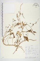登錄號:S093841藏品圖，第1張