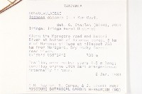 野牽牛藏品圖，第2張