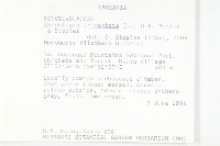 戟葉菜欒藤藏品圖，第2張