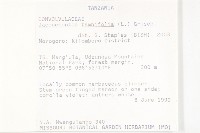 長梗毛娥房藤藏品圖，第2張