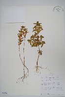 登錄號:S093898藏品圖，第1張