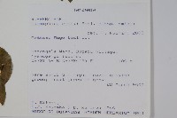 登錄號:S093899藏品圖，第2張