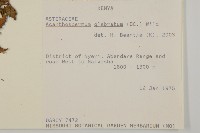 登錄號:S093916藏品圖，第2張